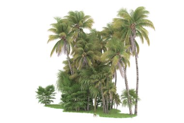 Beyaz arka planda izole edilmiş palmiye ağaçları adası. 3d görüntüleme - illüstrasyon
