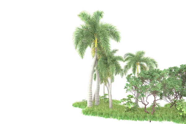 Isla Palmeras Aisladas Sobre Fondo Blanco Representación Ilustración — Foto de Stock