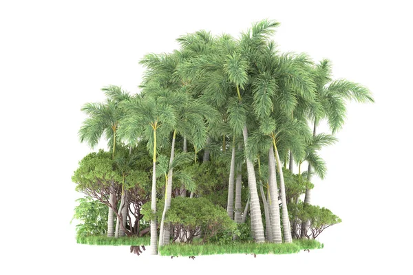 Eiland Van Palmbomen Geïsoleerd Witte Achtergrond Weergave Illustratie — Stockfoto