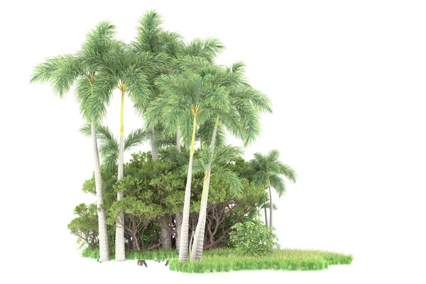 Beyaz Arka Planda Izole Edilmiş Palmiye Ağaçları Adası Görüntüleme Illüstrasyon — Stok fotoğraf