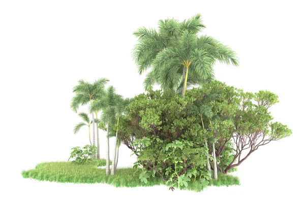 棕榈树的岛屿 在白色的背景上被隔离 3D渲染 — 图库照片