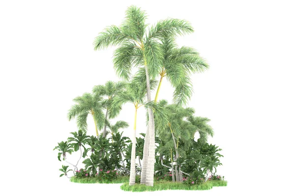Eiland Van Palmbomen Geïsoleerd Witte Achtergrond Weergave Illustratie — Stockfoto
