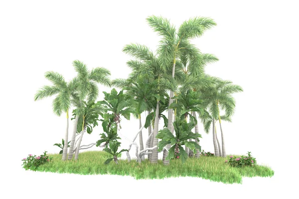 Wyspa Palm Odizolowanych Białym Tle Renderowanie Ilustracja — Zdjęcie stockowe