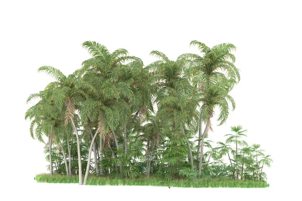 Insel Der Palmen Isoliert Auf Weißem Hintergrund Darstellung Illustration — Stockfoto