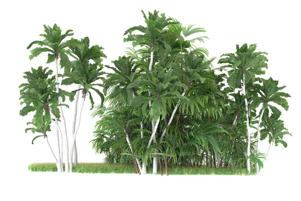 Візуалізація Зелених Дерев Ізольованих Білому Тлі — стокове фото
