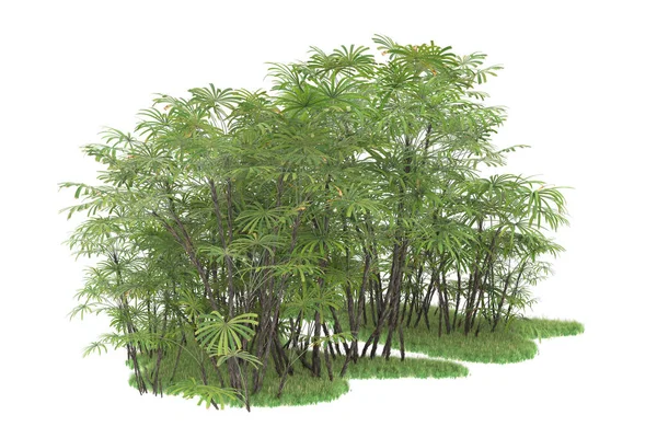 Beyaz arka planda izole edilmiş palmiye ağaçları adası. 3d görüntüleme - illüstrasyon