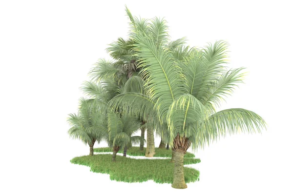 Beyaz arka planda izole edilmiş palmiye ağaçları adası. 3d görüntüleme - illüstrasyon