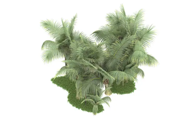 Insel Der Palmen Isoliert Auf Weißem Hintergrund Darstellung Illustration — Stockfoto