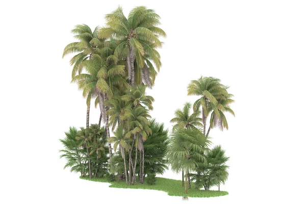 Wyspa Palm Odizolowanych Białym Tle Renderowanie Ilustracja — Zdjęcie stockowe