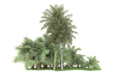 Beyaz arka planda izole edilmiş palmiye ağaçları adası. 3d görüntüleme - illüstrasyon