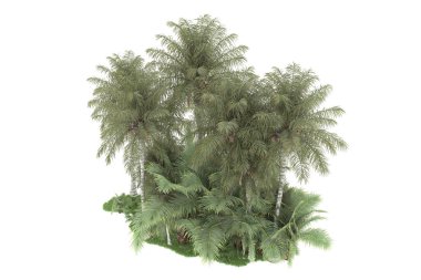 Beyaz arka planda izole edilmiş palmiye ağaçları adası. 3d görüntüleme - illüstrasyon