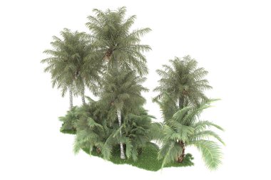 Beyaz arka planda izole edilmiş palmiye ağaçları adası. 3d görüntüleme - illüstrasyon