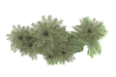 Beyaz arka planda izole edilmiş palmiye ağaçları adası. 3d görüntüleme - illüstrasyon