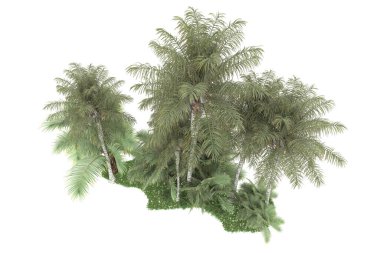 Beyaz arka planda izole edilmiş palmiye ağaçları adası. 3d görüntüleme - illüstrasyon
