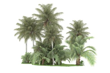 Beyaz arka planda izole edilmiş palmiye ağaçları adası. 3d görüntüleme - illüstrasyon