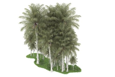 Beyaz arka planda izole edilmiş palmiye ağaçları adası. 3d görüntüleme - illüstrasyon