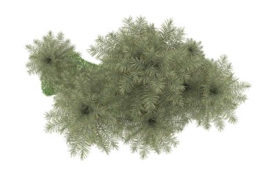 Beyaz arka planda izole edilmiş palmiye ağaçları adası. 3d görüntüleme - illüstrasyon