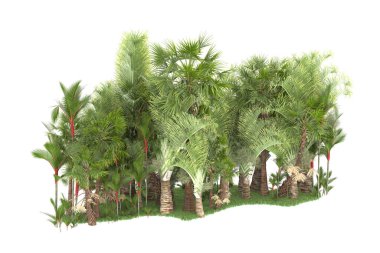 Beyaz arka planda izole edilmiş palmiye ağaçları adası. 3d görüntüleme - illüstrasyon