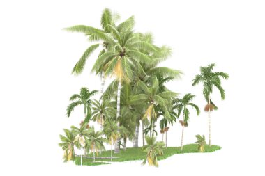 Beyaz arka planda izole edilmiş palmiye ağaçları adası. 3d görüntüleme - illüstrasyon