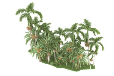 Beyaz arka planda izole edilmiş palmiye ağaçları adası. 3d görüntüleme - illüstrasyon