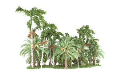 Beyaz arka planda izole edilmiş palmiye ağaçları adası. 3d görüntüleme - illüstrasyon