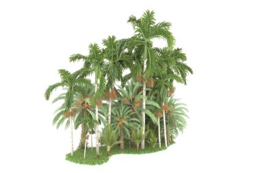 Beyaz arka planda izole edilmiş palmiye ağaçları adası. 3d görüntüleme - illüstrasyon