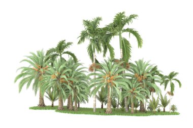 Beyaz arka planda izole edilmiş palmiye ağaçları adası. 3d görüntüleme - illüstrasyon