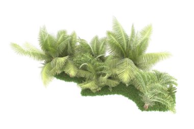 Beyaz arka planda izole edilmiş palmiye ağaçları adası. 3d görüntüleme - illüstrasyon