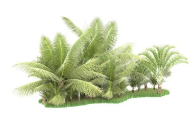 Beyaz arka planda izole edilmiş palmiye ağaçları adası. 3d görüntüleme - illüstrasyon