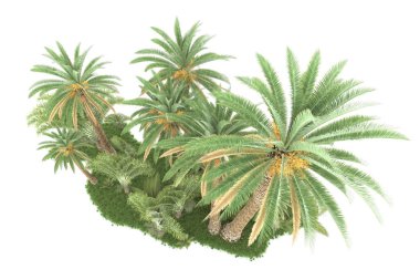 Beyaz arka planda izole edilmiş palmiye ağaçları adası. 3d görüntüleme - illüstrasyon