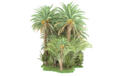 Beyaz arka planda izole edilmiş palmiye ağaçları adası. 3d görüntüleme - illüstrasyon