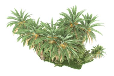 Beyaz arka planda izole edilmiş palmiye ağaçları adası. 3d görüntüleme - illüstrasyon