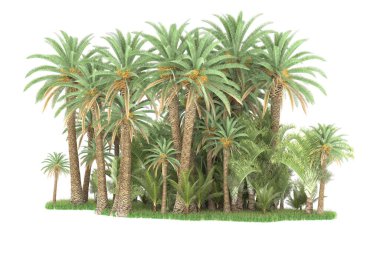 Beyaz arka planda izole edilmiş palmiye ağaçları adası. 3d görüntüleme - illüstrasyon