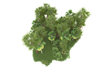 Beyaz arka planda izole edilmiş palmiye ağaçları adası. 3d görüntüleme - illüstrasyon