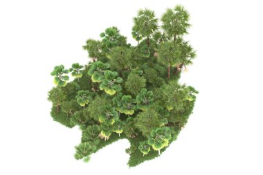 Beyaz arka planda izole edilmiş palmiye ağaçları adası. 3d görüntüleme - illüstrasyon