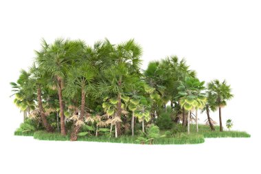Beyaz arka planda izole edilmiş palmiye ağaçları adası. 3d görüntüleme - illüstrasyon