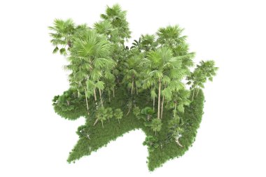 Beyaz arka planda izole edilmiş palmiye ağaçları adası. 3d görüntüleme - illüstrasyon