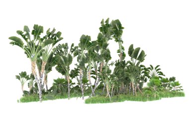 Beyaz arka planda izole edilmiş palmiye ağaçları adası. 3d görüntüleme - illüstrasyon