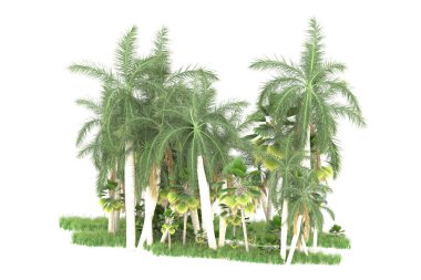 Beyaz arkaplanda izole edilmiş yeşil ağaçların 3d görüntülenmesi