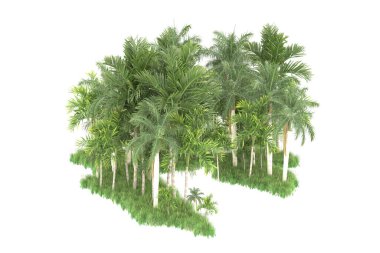 Beyaz arka planda izole edilmiş palmiye ağaçları adası. 3d görüntüleme - illüstrasyon