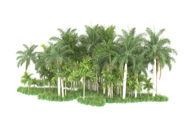 Beyaz arka planda izole edilmiş palmiye ağaçları adası. 3d görüntüleme - illüstrasyon
