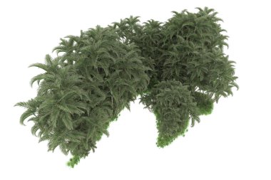 Beyaz arkaplanda izole edilmiş yeşil ağaçların 3d görüntülenmesi
