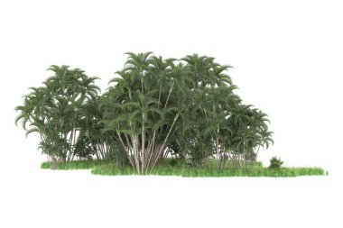 Beyaz arkaplanda izole edilmiş yeşil ağaçların 3d görüntülenmesi