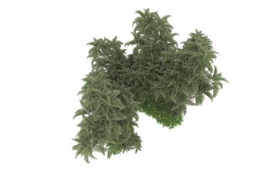 Beyaz arkaplanda izole edilmiş yeşil ağaçların 3d görüntülenmesi