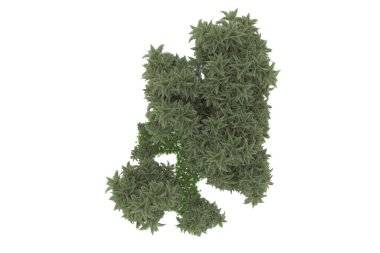 Beyaz arkaplanda izole edilmiş yeşil ağaçların 3d görüntülenmesi