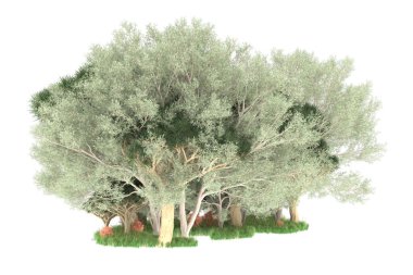 Beyaz arkaplanda izole edilmiş yeşil ağaçların 3d görüntülenmesi