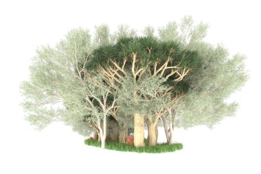 Beyaz arkaplanda izole edilmiş yeşil ağaçların 3d görüntülenmesi