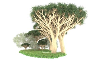 Beyaz arkaplanda izole edilmiş yeşil ağaçların 3d görüntülenmesi