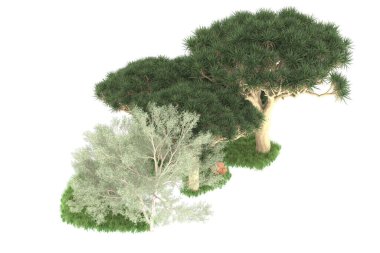 Beyaz arkaplanda izole edilmiş yeşil ağaçların 3d görüntülenmesi