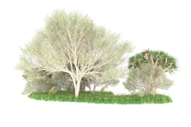 Beyaz arkaplanda izole edilmiş yeşil ağaçların 3d görüntülenmesi